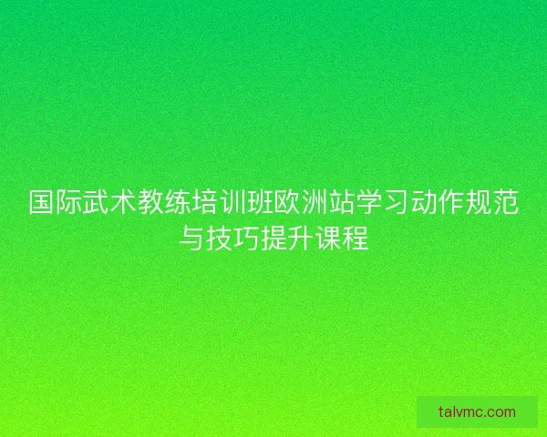 国际武术教练培训班欧洲站学习动作规范与技巧提升课程