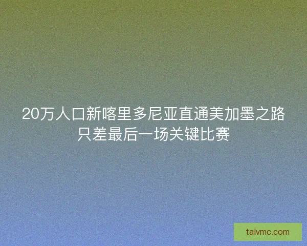 20万人口新喀里多尼亚直通美加墨之路只差最后一场关键比赛